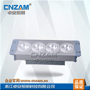 ZGE202 LED应急顶灯(NFE9121)