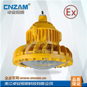 ZBD102-II 50W--60W LED免维护防爆灯