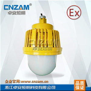 ZBD206  LED免维护防爆灯