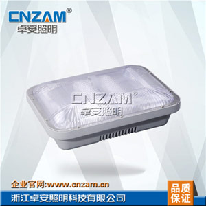 ZGW701 长寿顶灯(NFC9175)