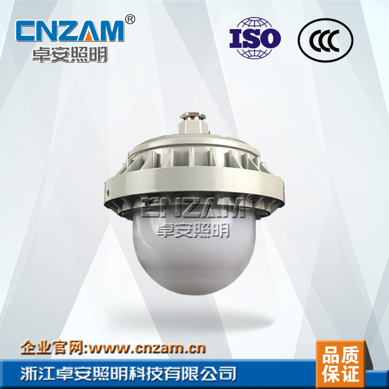 ZGD207-50W LED防眩平台灯
