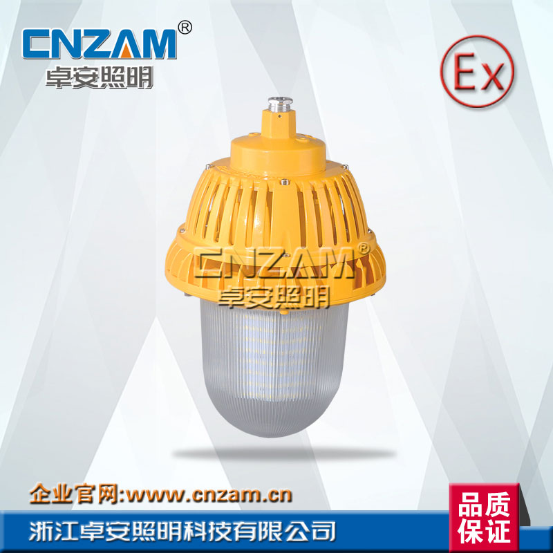 ZBD130 LED防爆平台灯