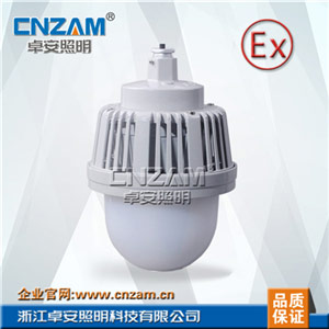 ZBD206-50W LED防眩平台灯