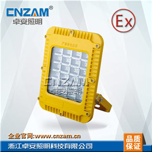 ZBD121 LED防爆泛光灯(BFC8160)
